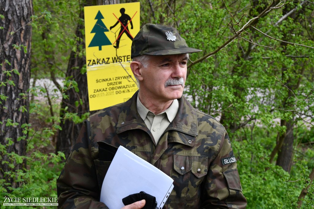 Interwencja w Lesie Sekulskim