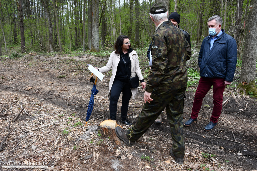 Interwencja w Lesie Sekulskim