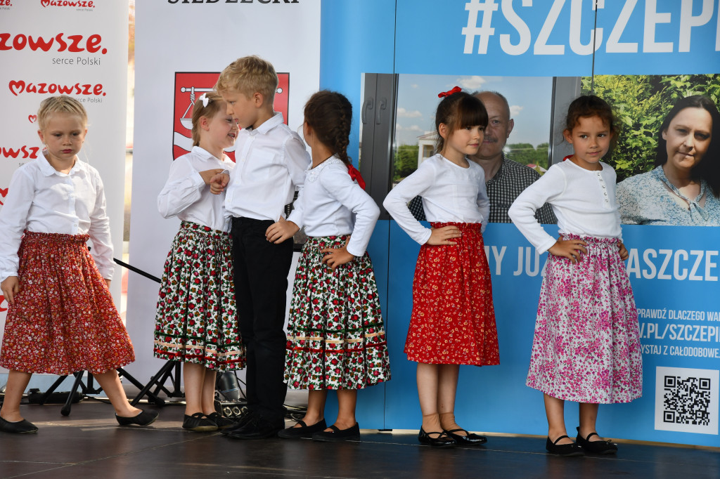 Wisienka na pierwszym planie
