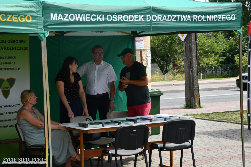 Wisienka na pierwszym planie