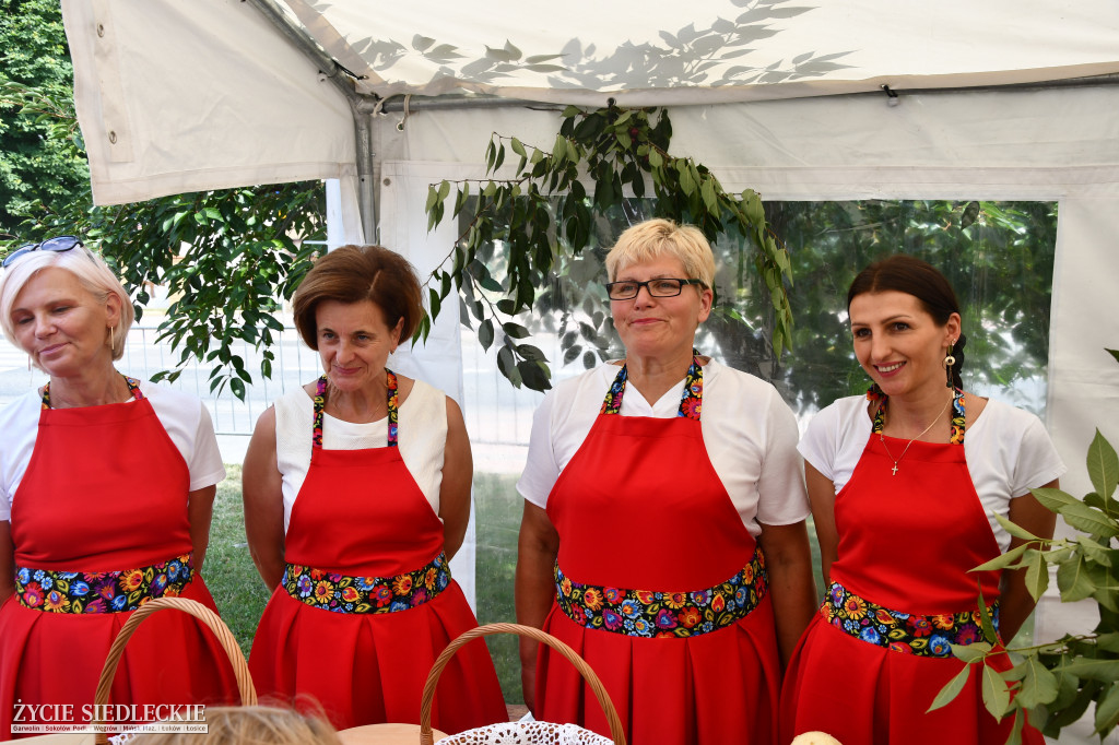Wisienka na pierwszym planie