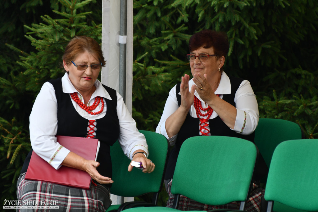 Wisienka na pierwszym planie