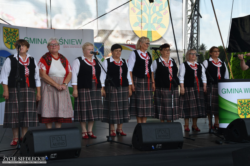 Wisienka na pierwszym planie