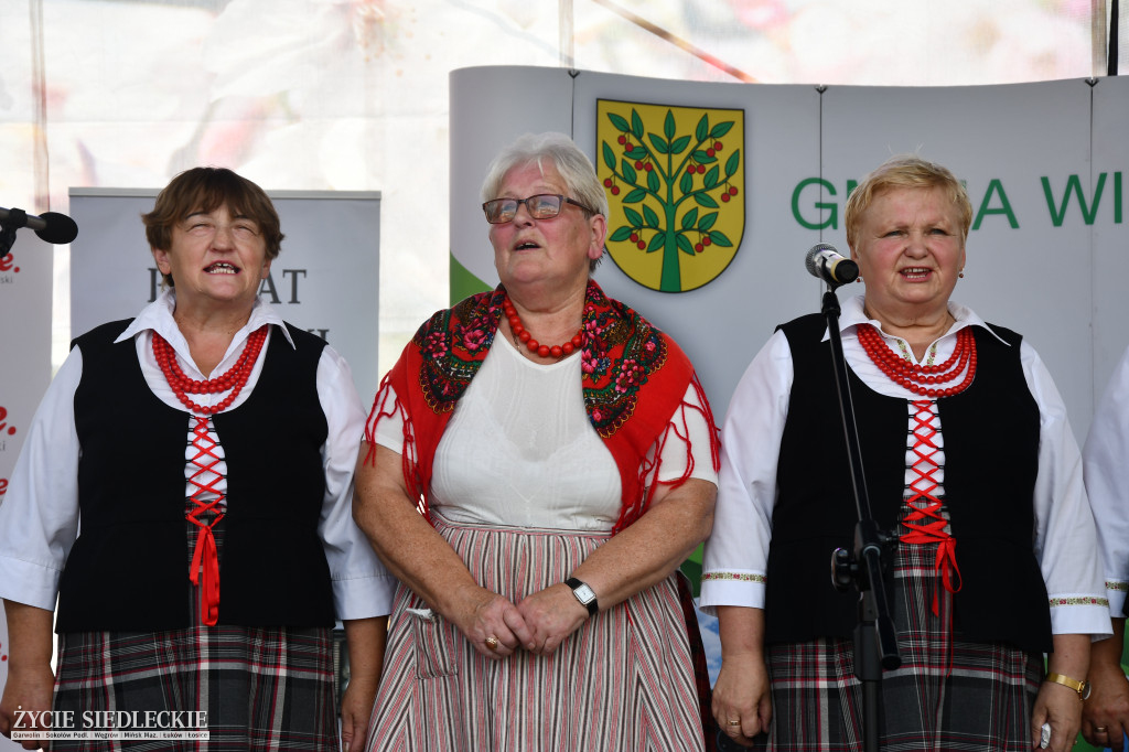 Wisienka na pierwszym planie