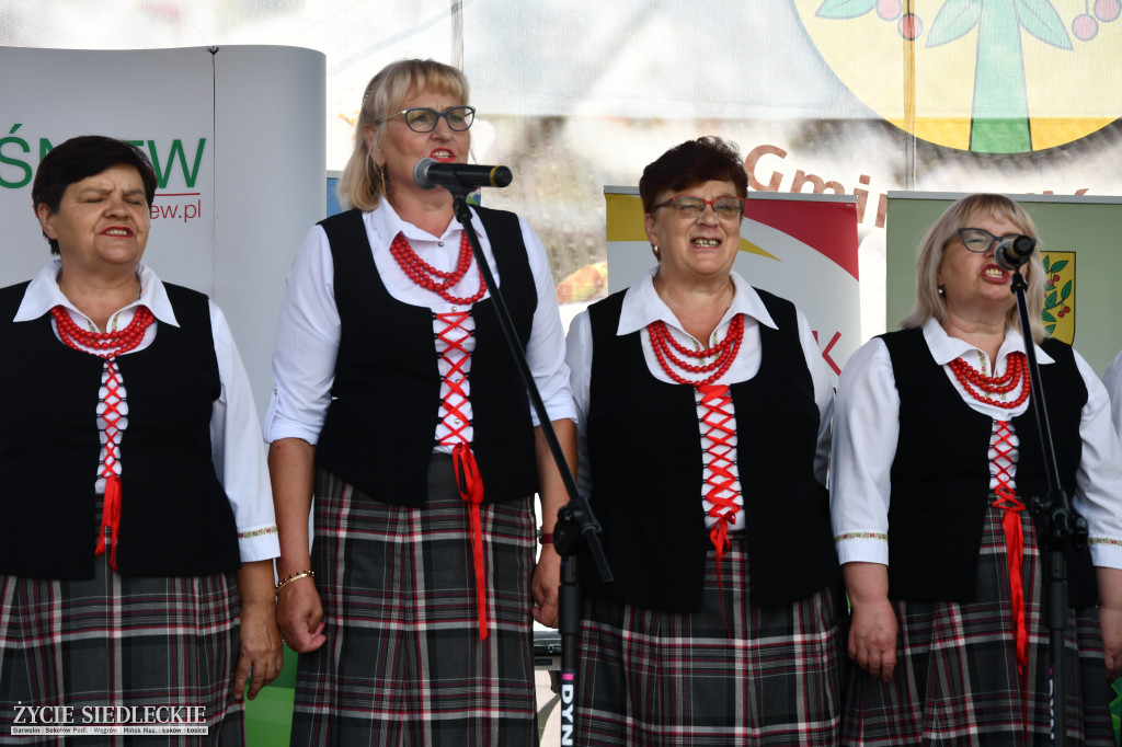 Wisienka na pierwszym planie