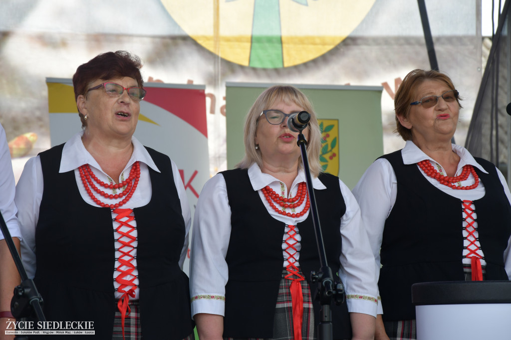 Wisienka na pierwszym planie