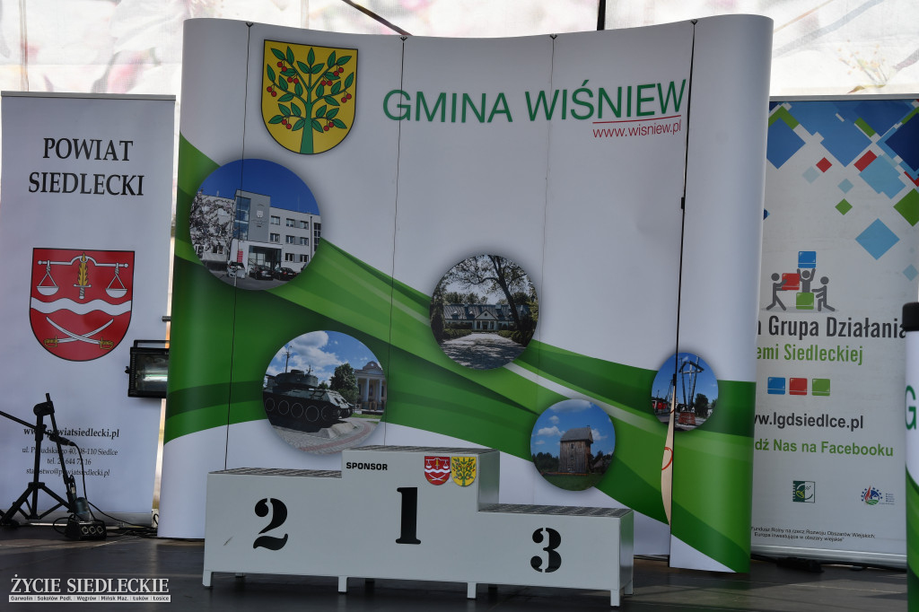 Wisienka na pierwszym planie