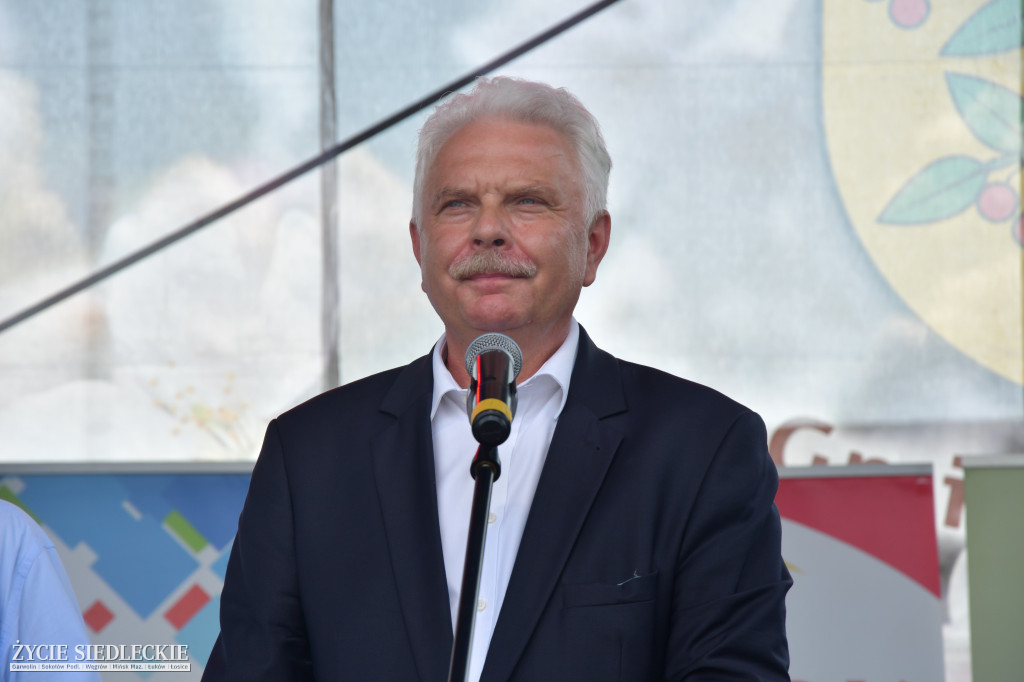 Wisienka na pierwszym planie