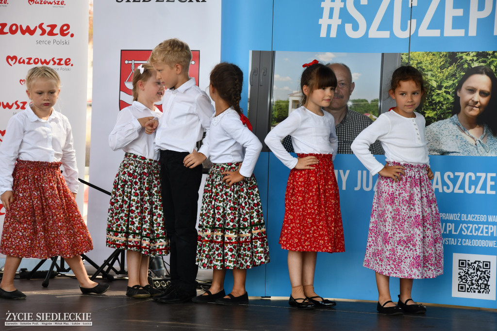 Wisienka na pierwszym planie