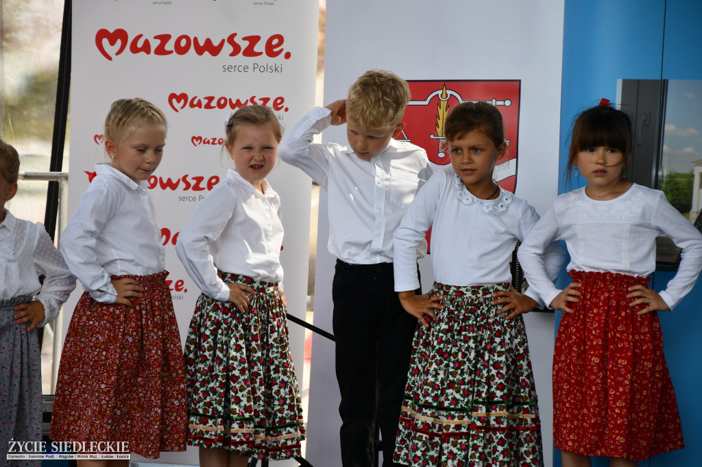 Wisienka na pierwszym planie