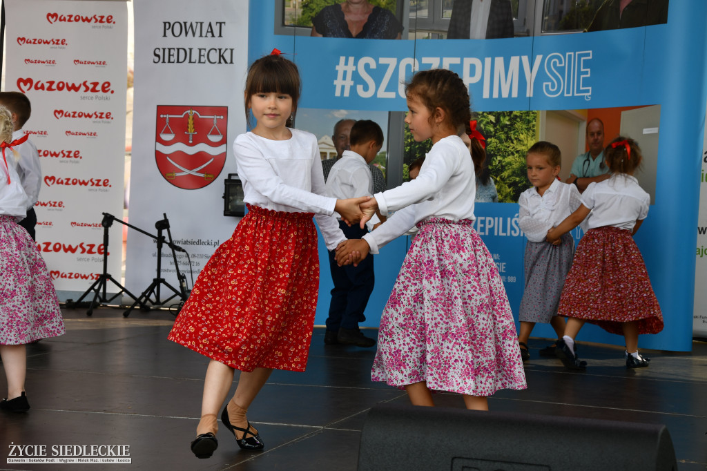 Wisienka na pierwszym planie