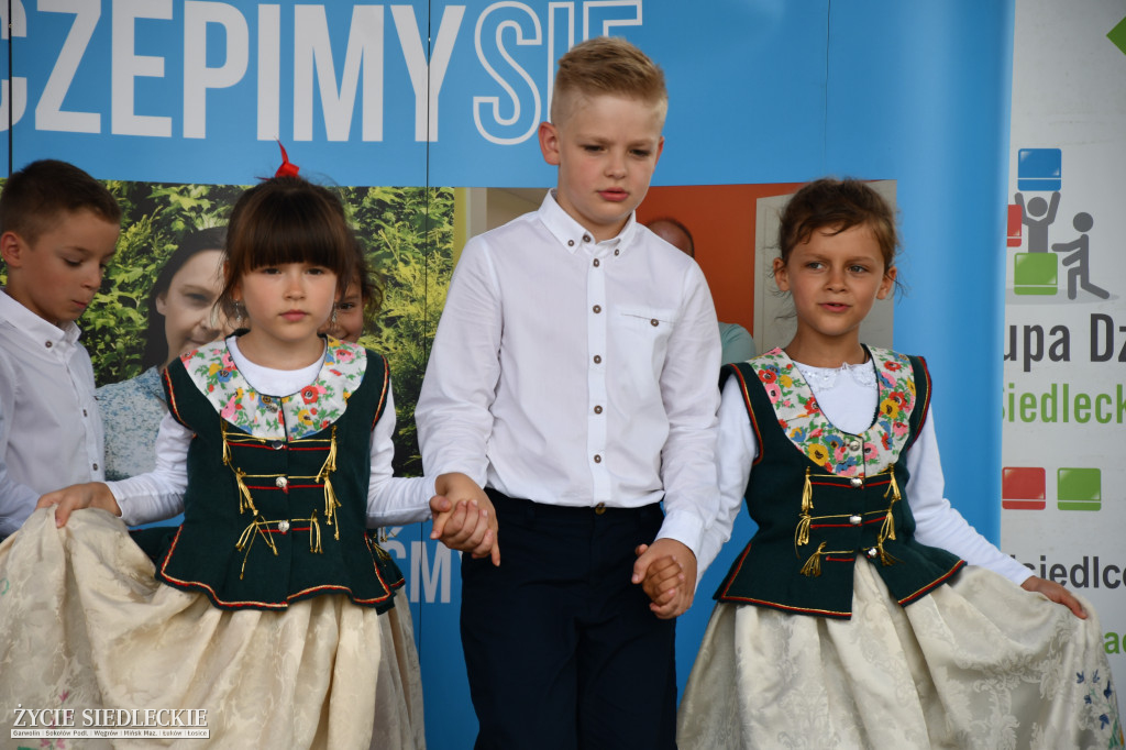 Wisienka na pierwszym planie