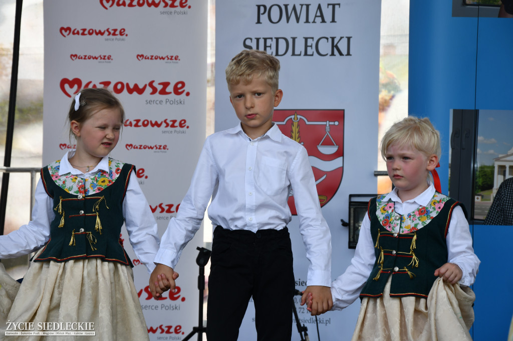 Wisienka na pierwszym planie