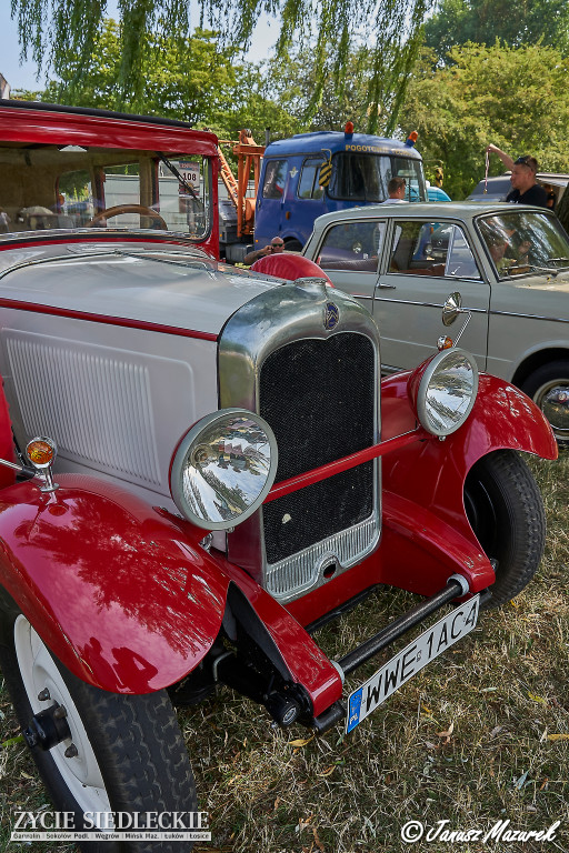 Mrowisko nadrobiło zaległości