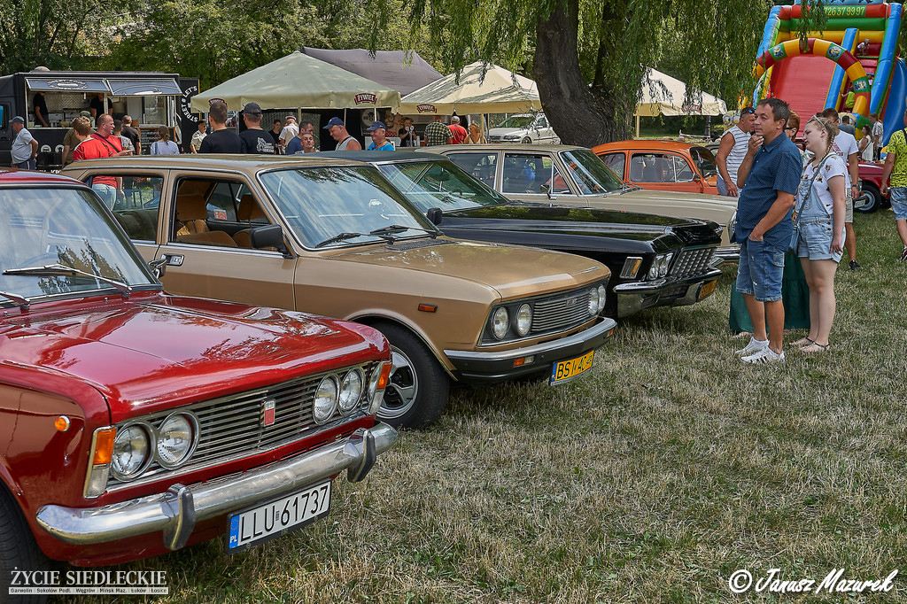 Mrowisko nadrobiło zaległości