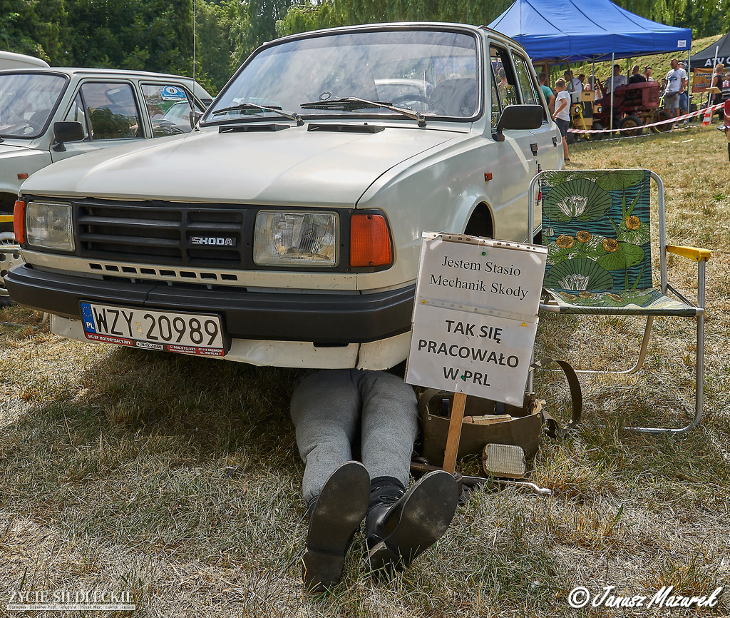 Mrowisko nadrobiło zaległości