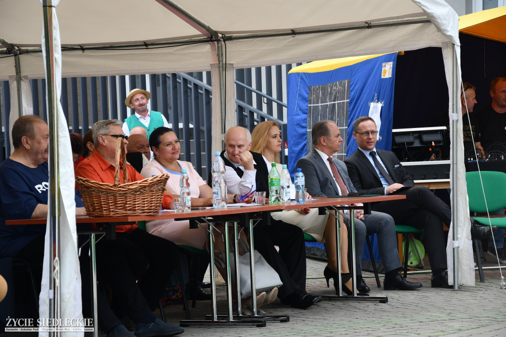 W Wiśniewie na ludowo - XV przegląd kapel