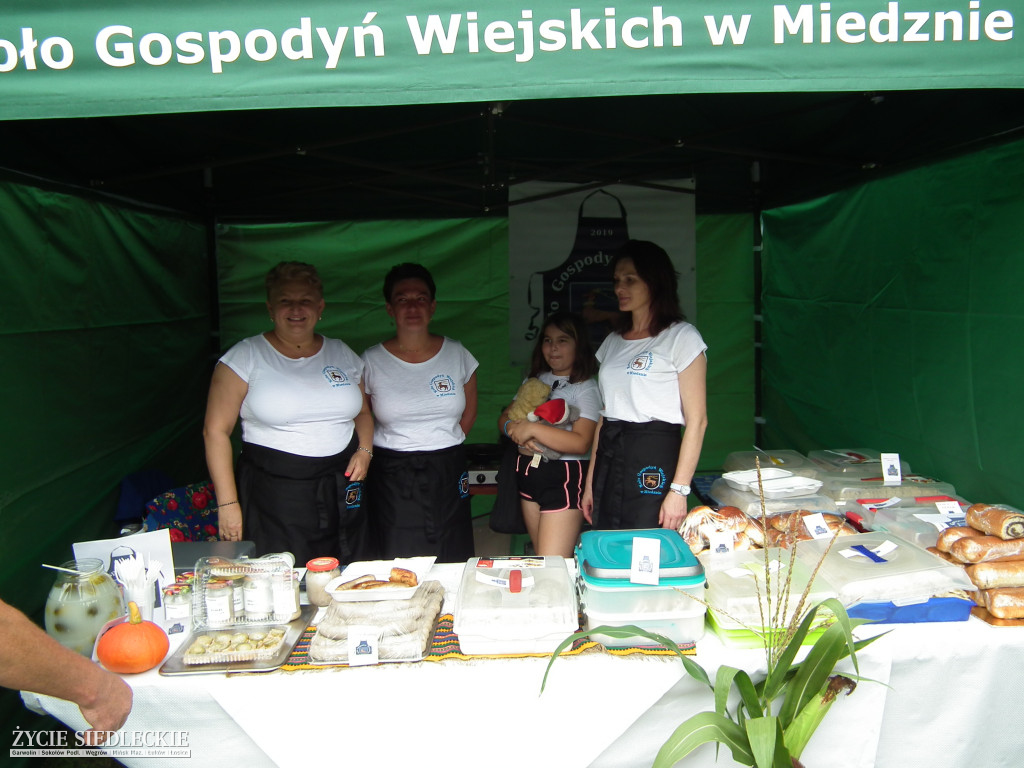 Udany piknik Kół Gospodyń Wiejskich w Suchej