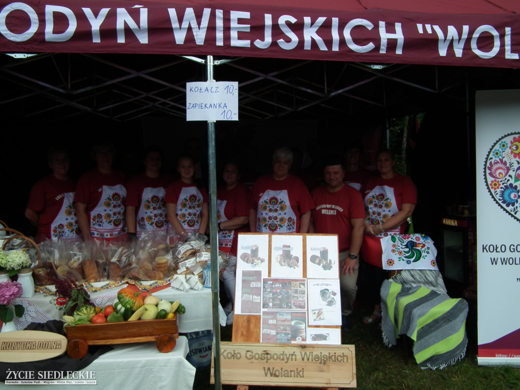 Udany piknik Kół Gospodyń Wiejskich w Suchej