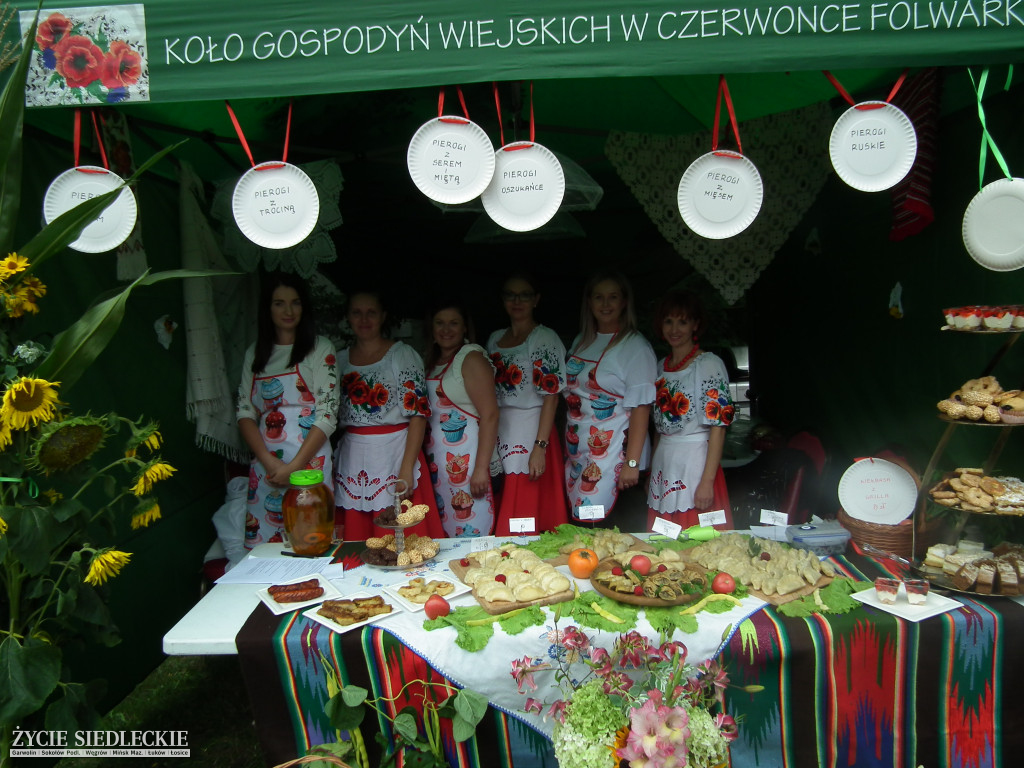Udany piknik Kół Gospodyń Wiejskich w Suchej
