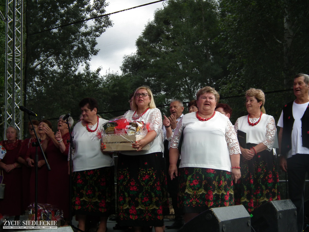 Udany piknik Kół Gospodyń Wiejskich w Suchej