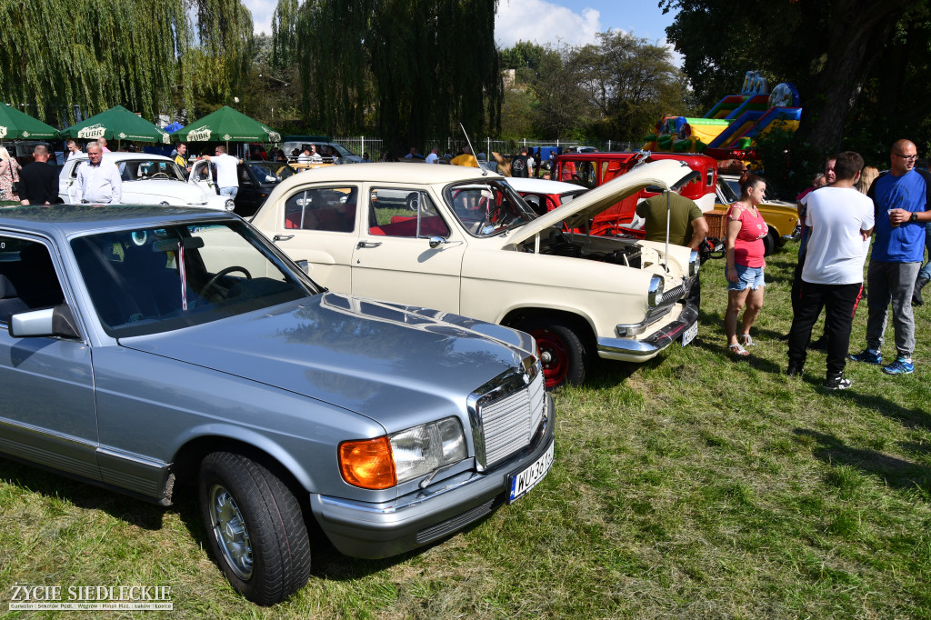 Mrowisko po raz dwunasty