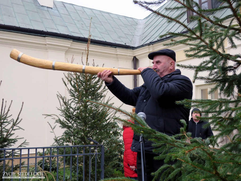 Czas, kiedy brzmią tylko ligawki
