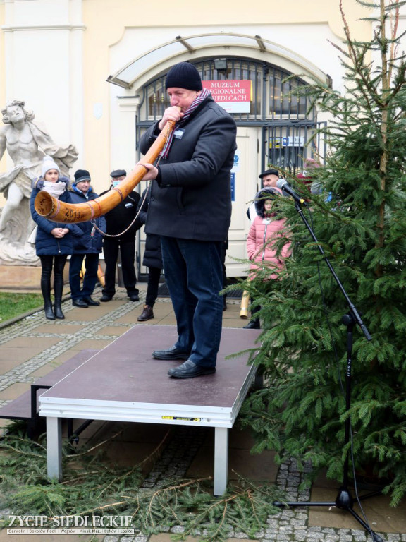 Czas, kiedy brzmią tylko ligawki