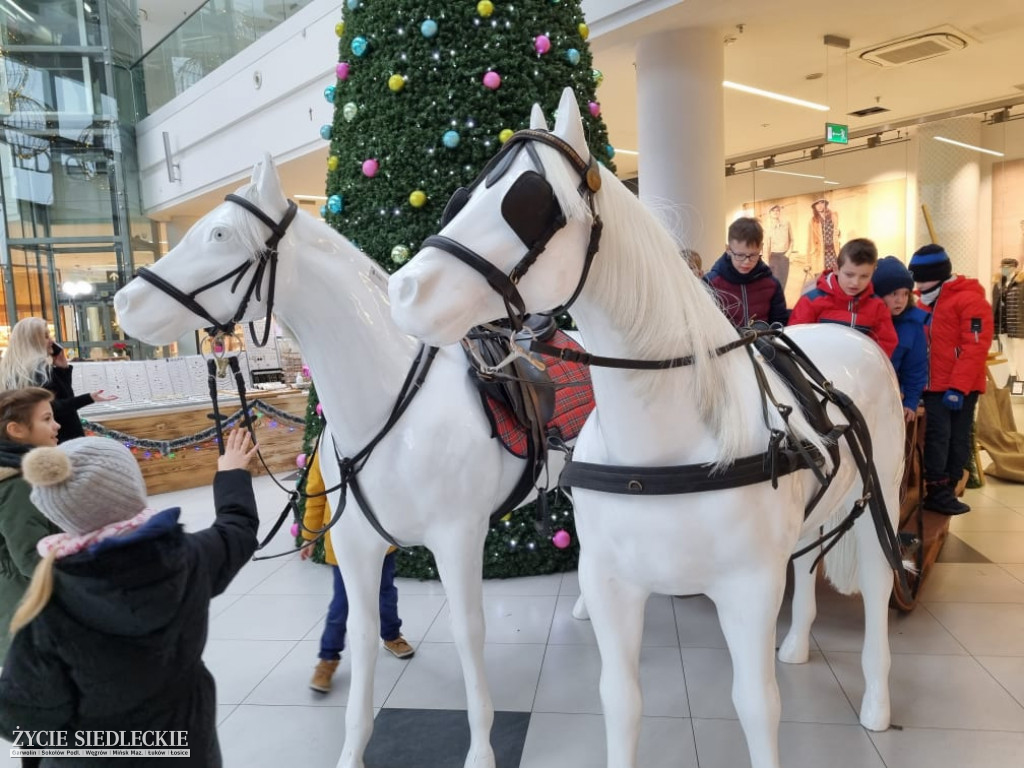 Świąteczne Drzewko Życzeń w Galerii Siedlce