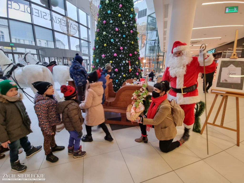 Świąteczne Drzewko Życzeń w Galerii Siedlce