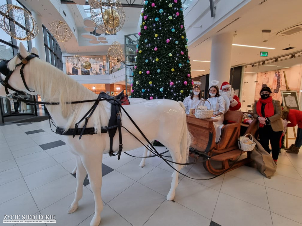 Świąteczne Drzewko Życzeń w Galerii Siedlce