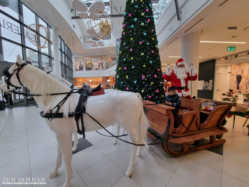 Świąteczne Drzewko Życzeń w Galerii Siedlce
