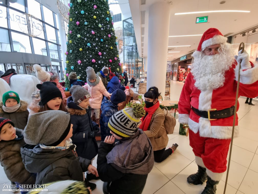 Świąteczne Drzewko Życzeń w Galerii Siedlce