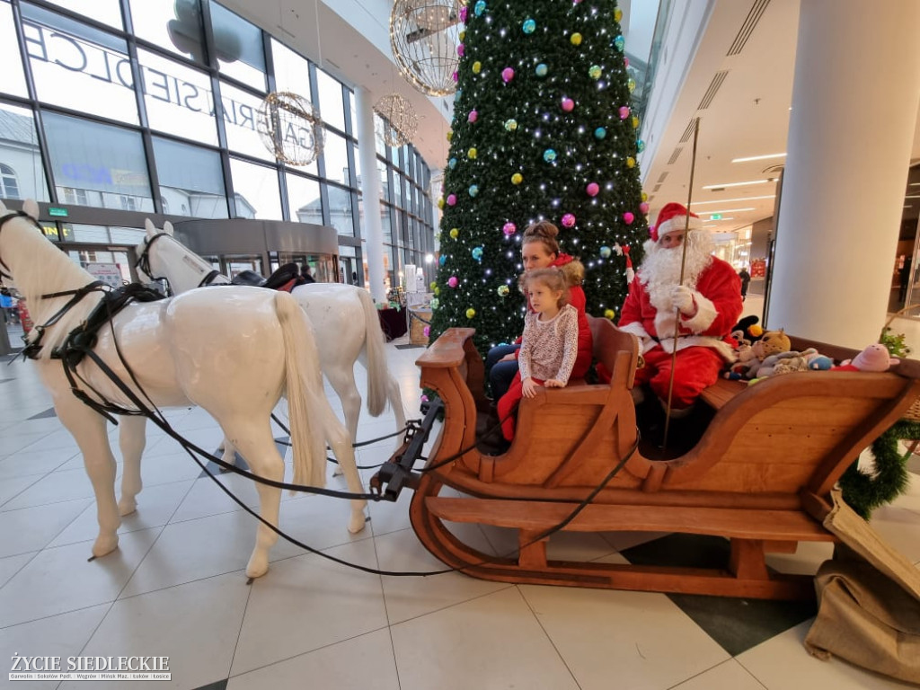 Świąteczne Drzewko Życzeń w Galerii Siedlce