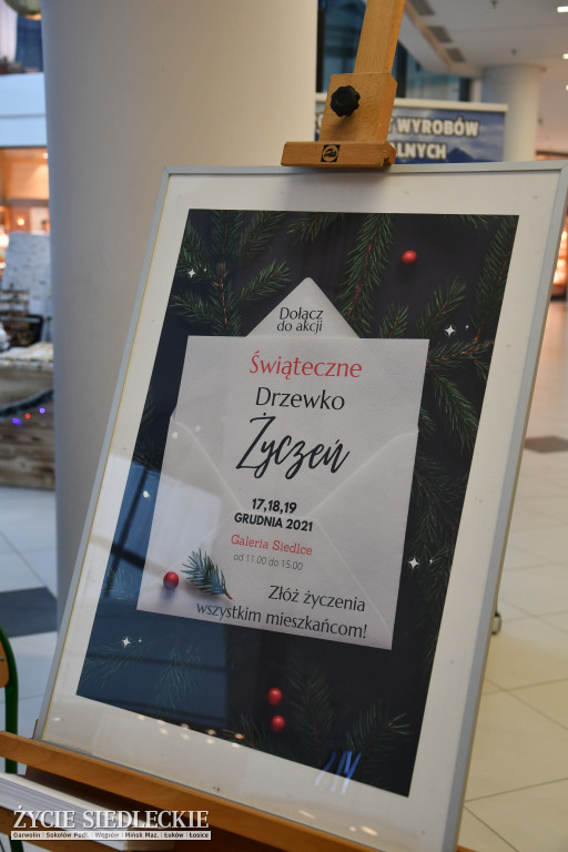 Świąteczne Drzewko Życzeń w Galerii Siedlce