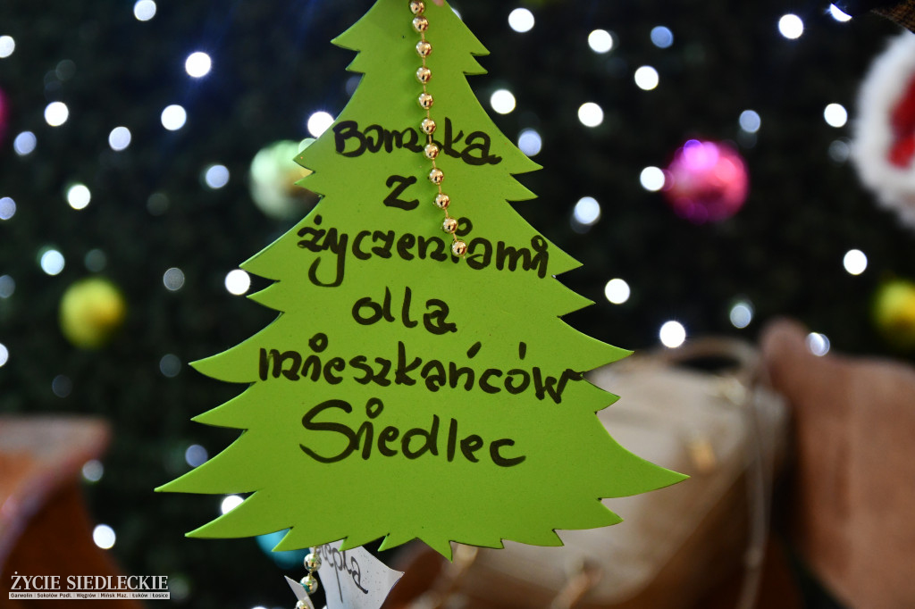 Świąteczne Drzewko Życzeń w Galerii Siedlce