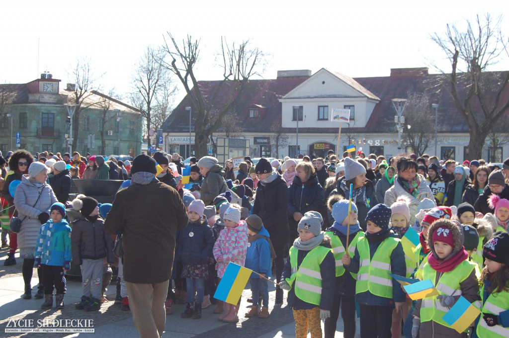 Solidarni z Ukrainą – wiec poparcia na rynku w Węgrowie