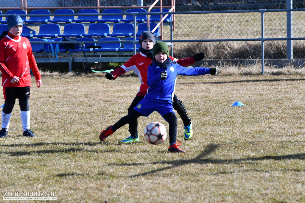 Turniej GOOL CUP w Kotuniu