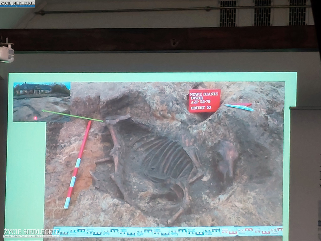 Podsumowanie działań archeologicznych