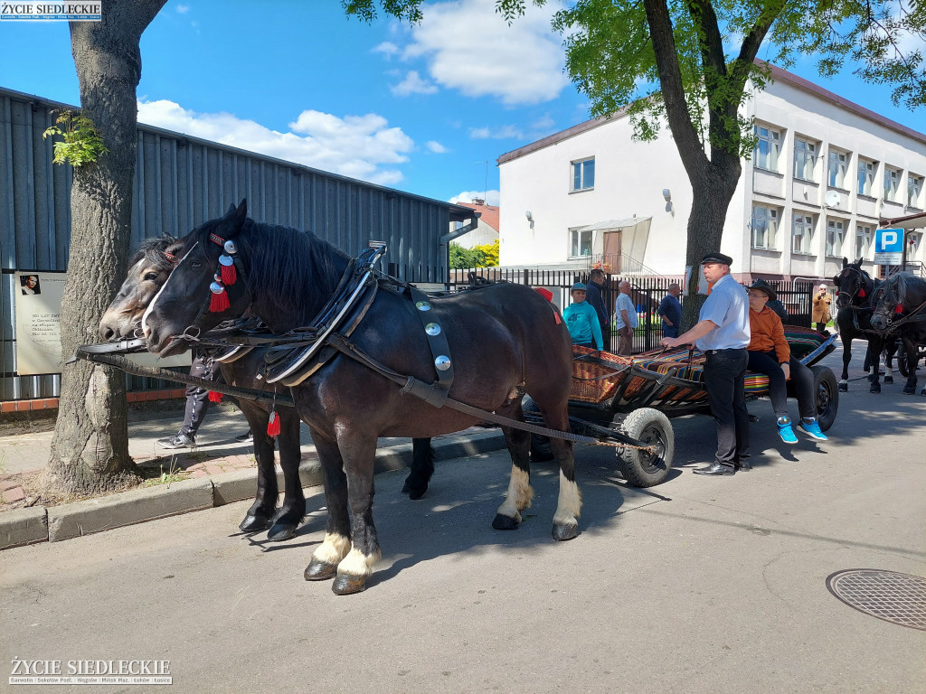 Festiwal w Garwolinie