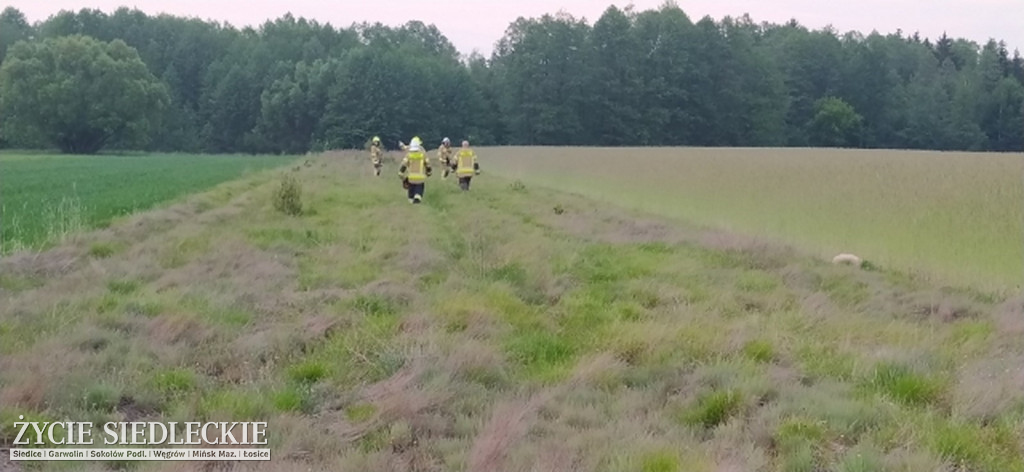 Wypadek na trasie Ozorów - Żeliszew