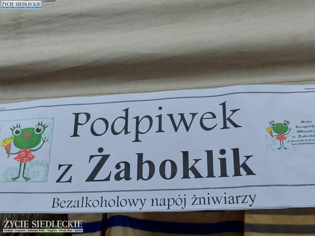 Piknik w Żaboklikach