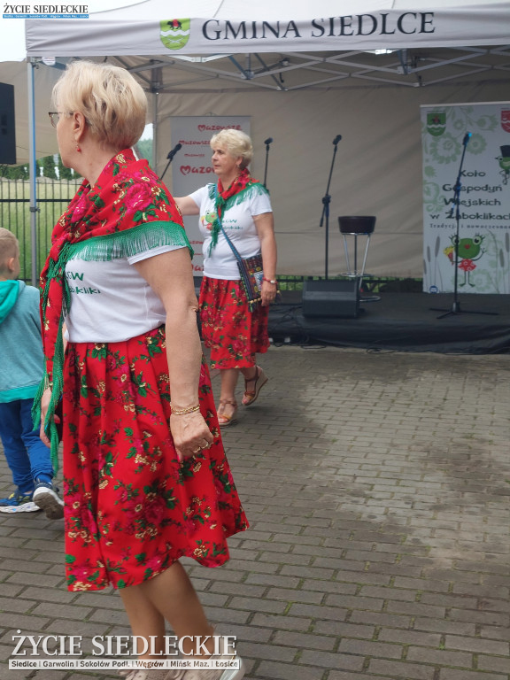 Piknik w Żaboklikach