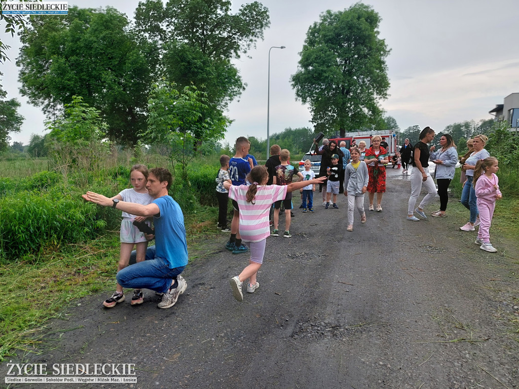 Piknik w Żaboklikach