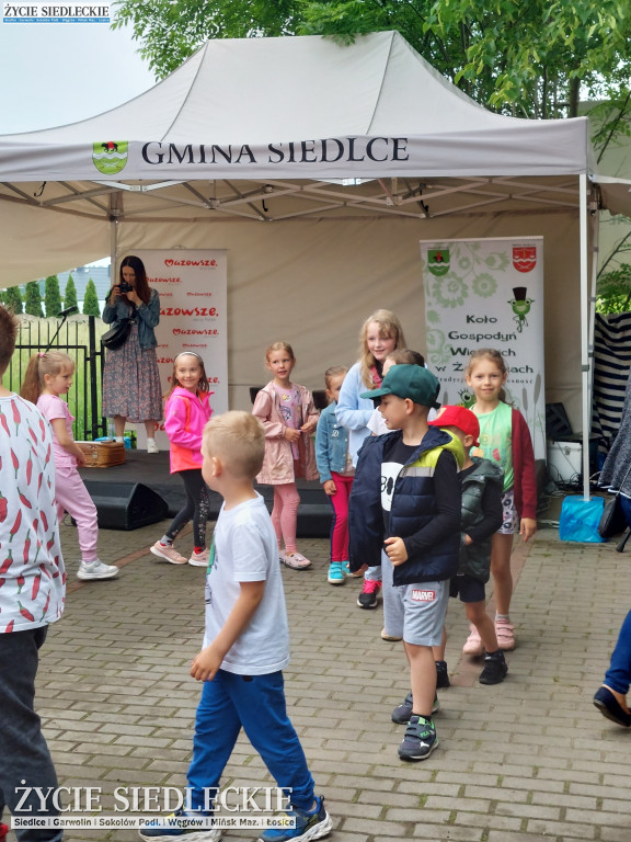 Piknik w Żaboklikach