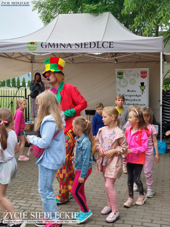 Piknik w Żaboklikach