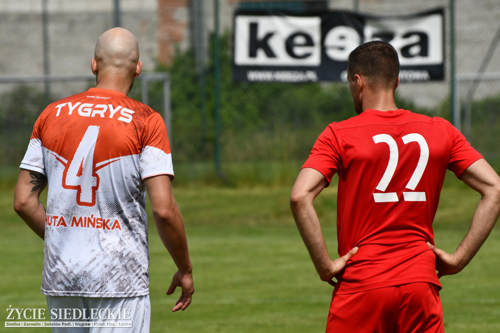 Orzeł zadziobał Tygrysa