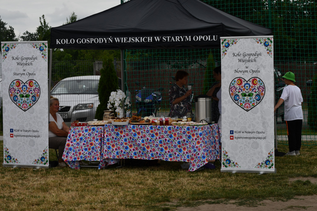 Muzyczny piknik w Starym Opolu