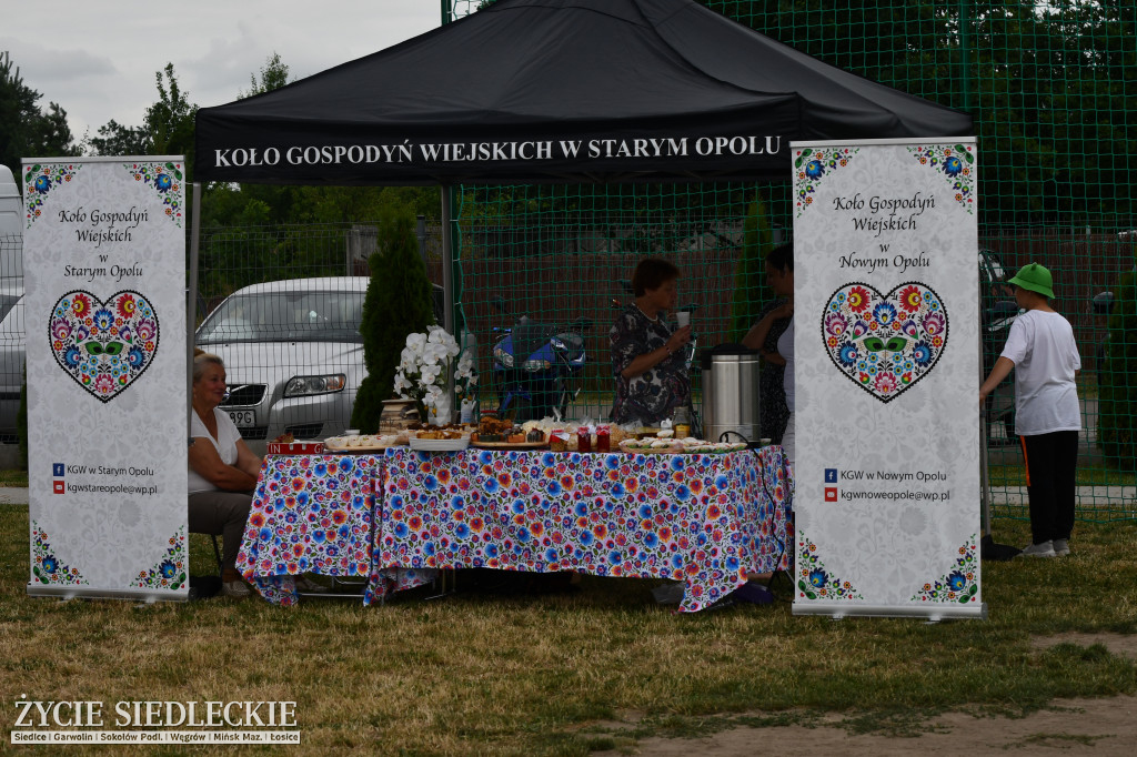 Muzyczny piknik w Starym Opolu