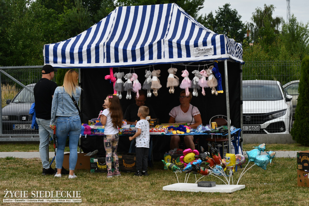 Muzyczny piknik w Starym Opolu